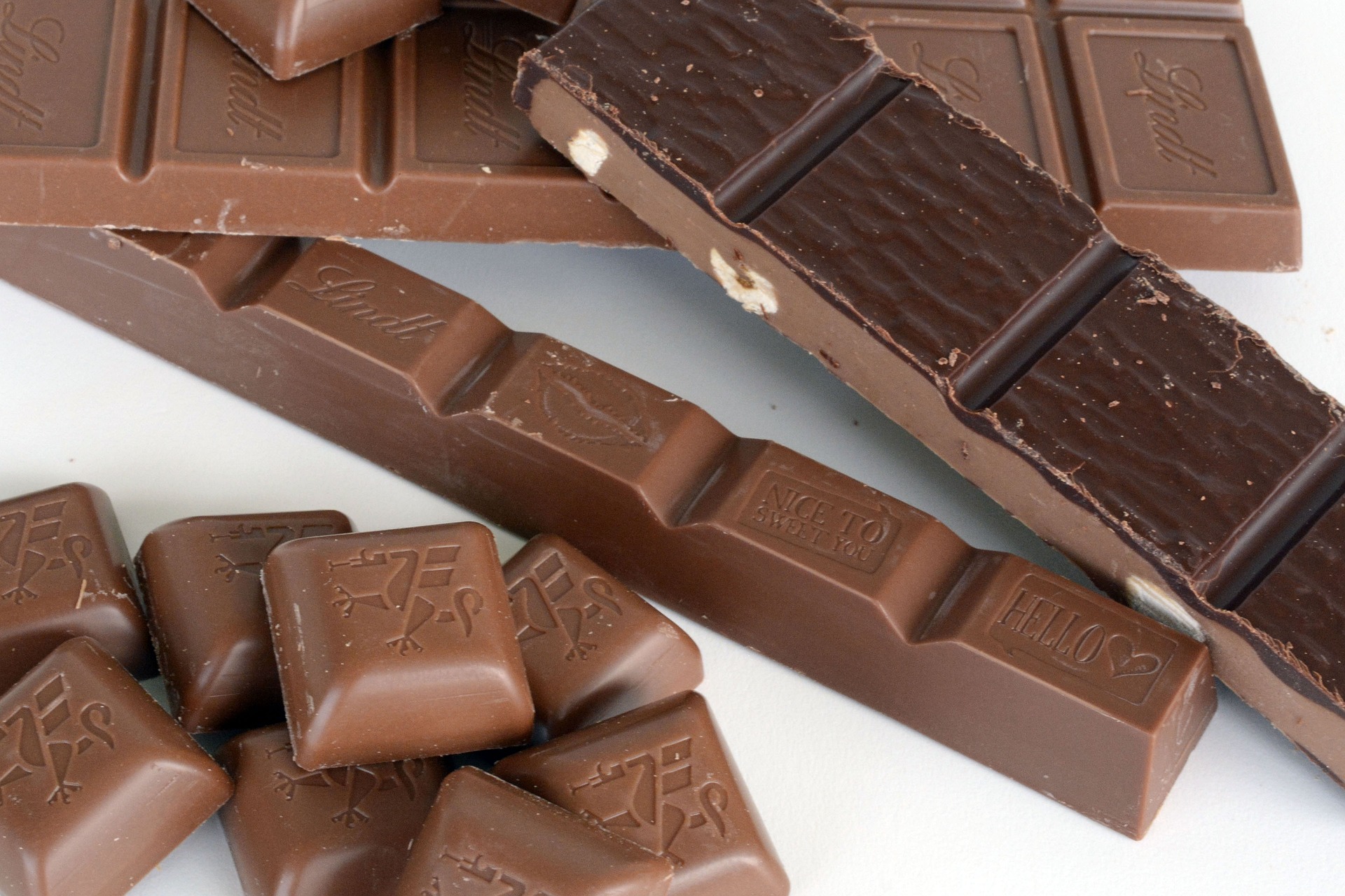 Read more about the article אטרקציה מתוקה במיוחד: הכול על סדנת השוקולד של יער הקקאו